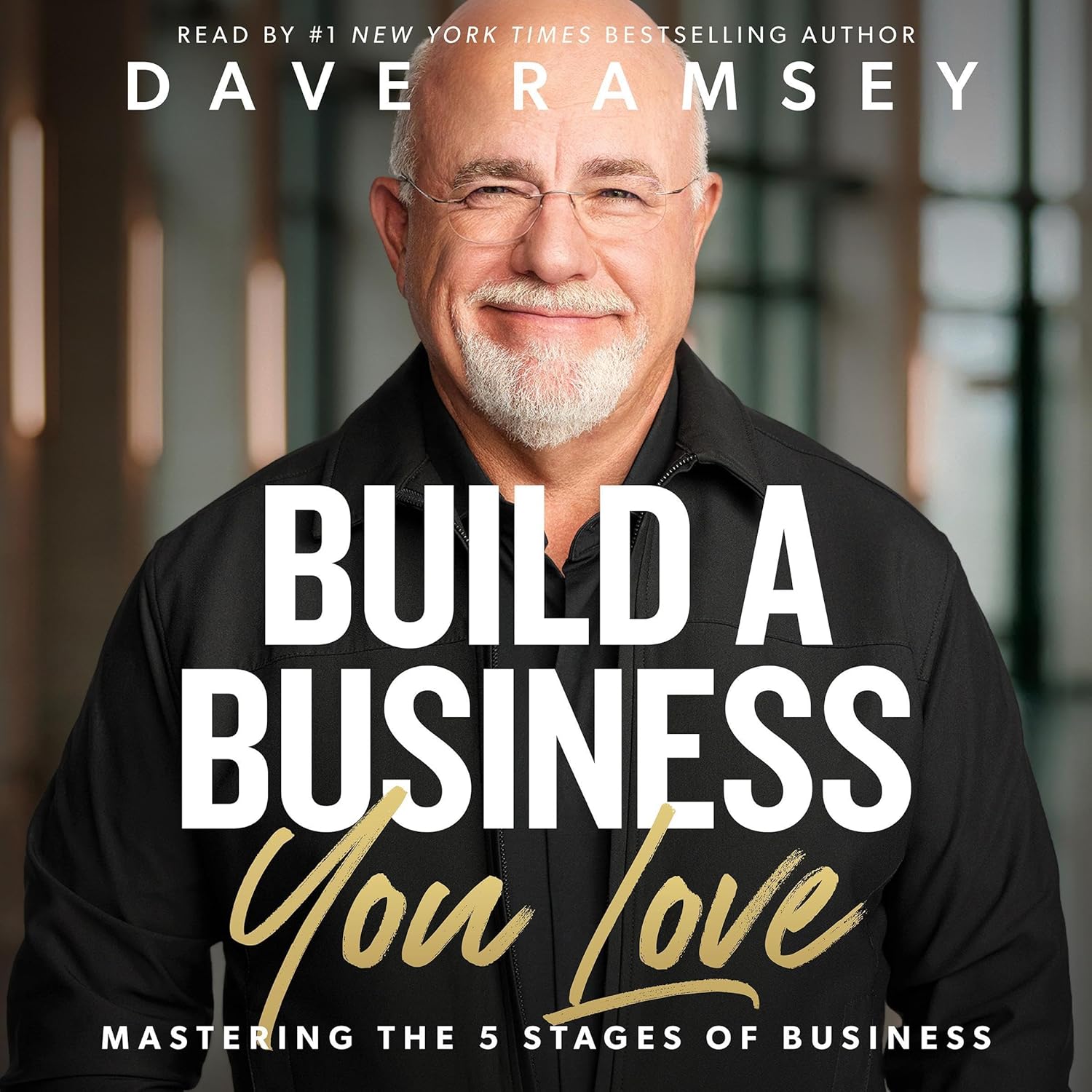 Build a Business You Love: Mastering the Five Stages of Business Audible Audiobook – Unabridged