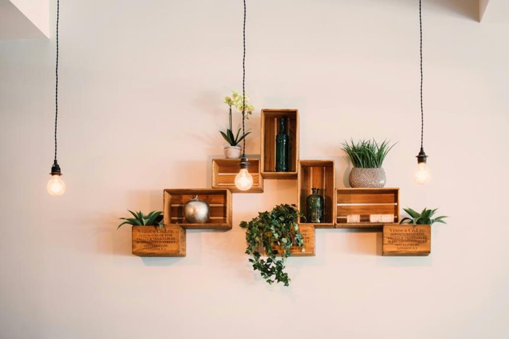 What Are the Best Indoor Plants for Interior Design?